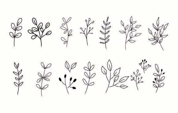Line Art Botanical Set: A Freebie Graphic for Local Business Branding